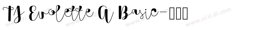 TJ Evolette A Basic字体转换 TJ Evolette A Basic字体转换
